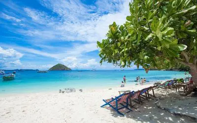 Plage de sable blanc avec des transats à l'ombre d'un arbre