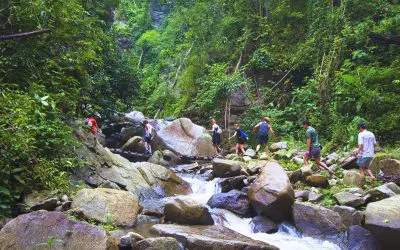 PASSEGGIATA NELLA GIUNGLA E RAFTING 10 KM.