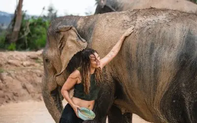 Visitante com uma tigela cheia de lama, a apoiar a mão num elefante