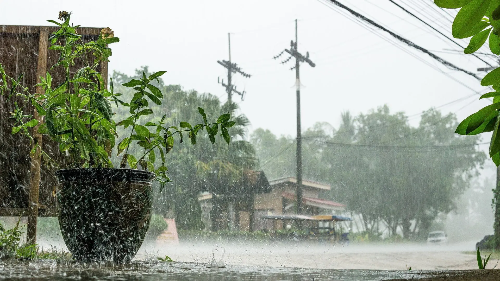 lluvias phuket