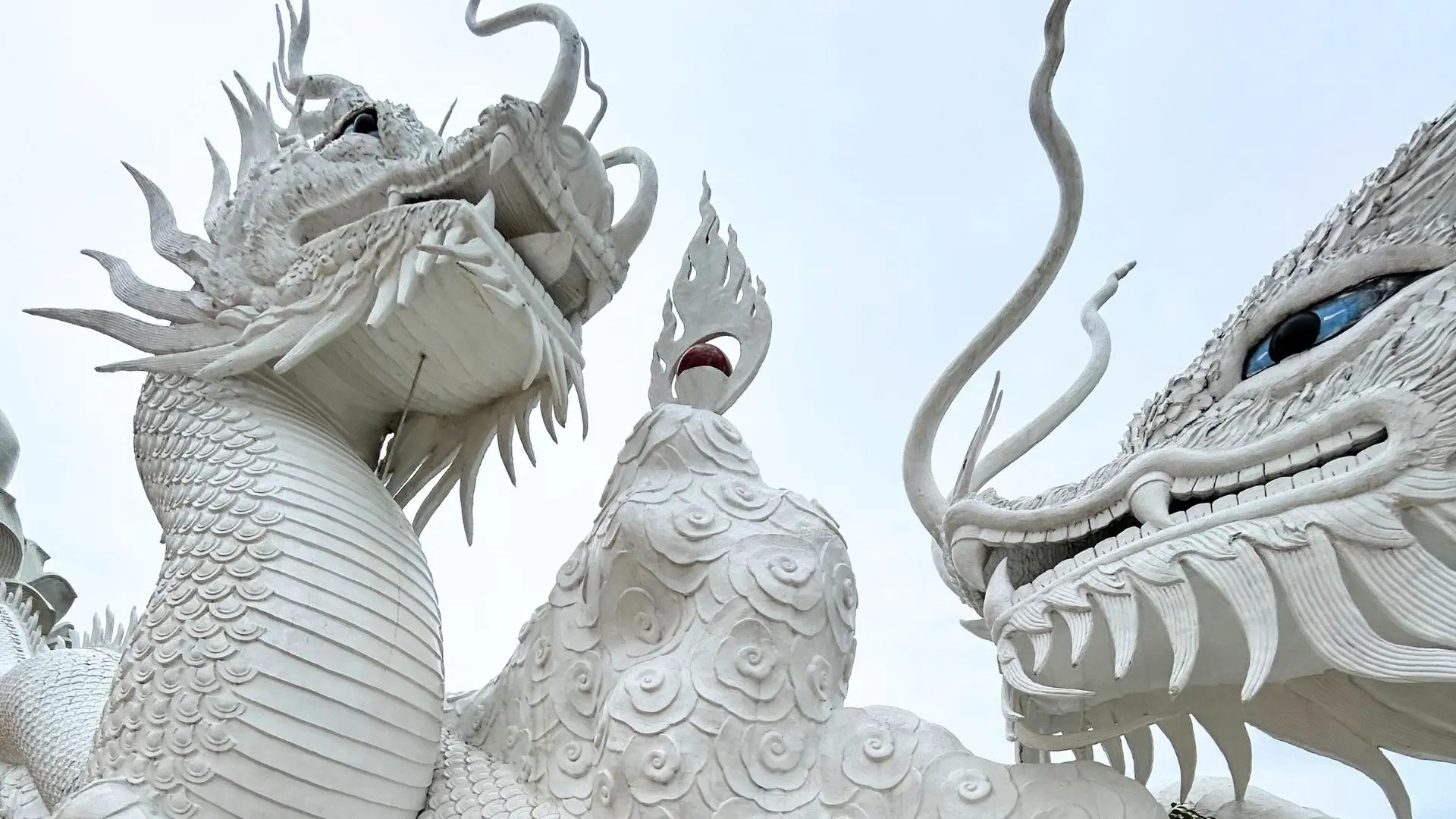 Heads of two giant white dragons with a red pearl between them, seen from below