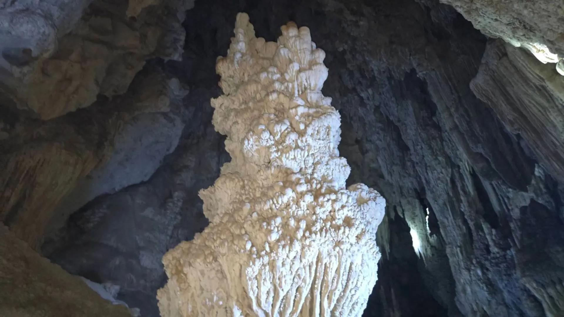 Gran formación blanca de caliza con forma de coral dentro de una cueva oscura