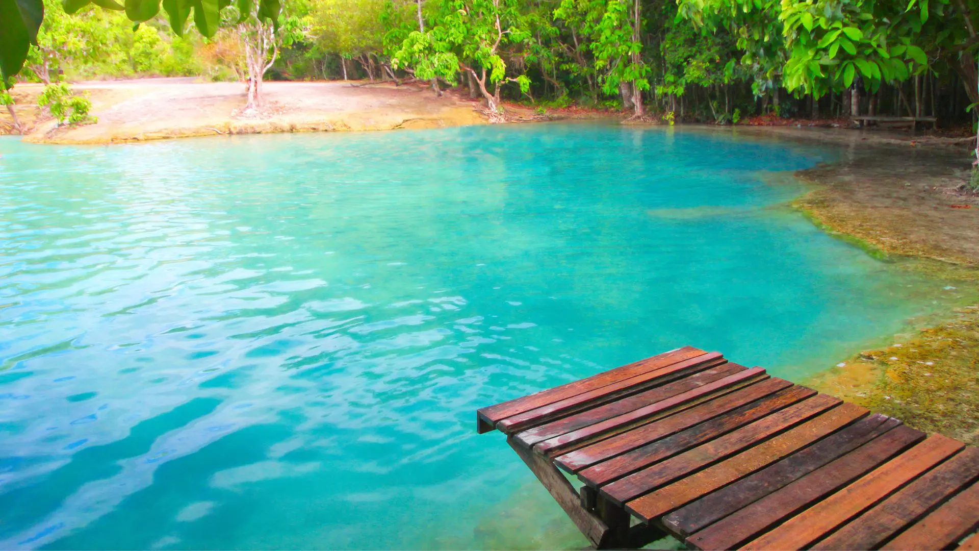 piscina natural