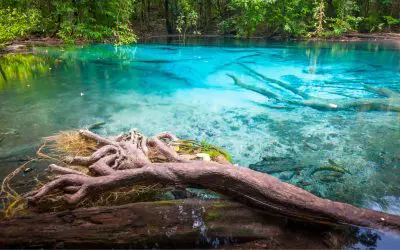 Piscina natural Esmeralda de aguas verdes en Krabi