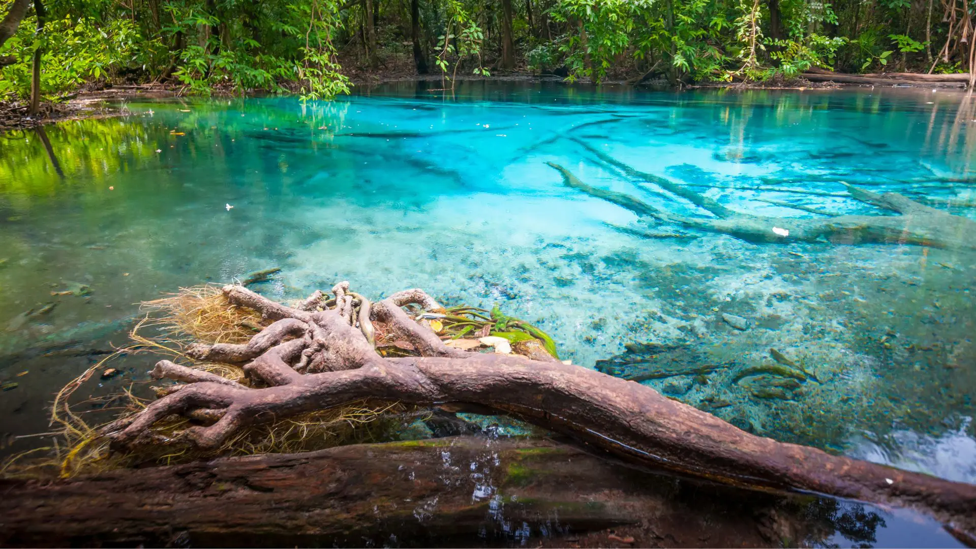 PISCINA NATURAL ESMERALDA