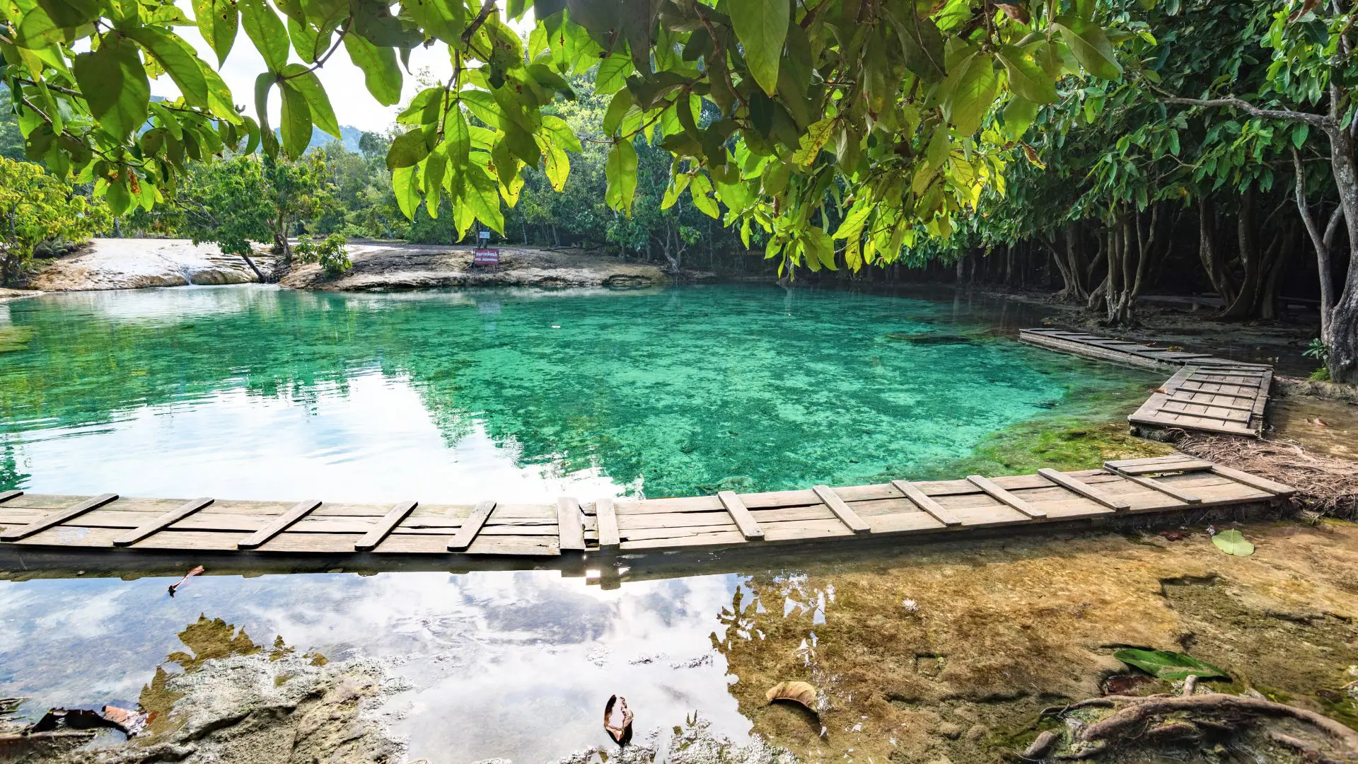 PISCINA NATURAL ESMERALDA