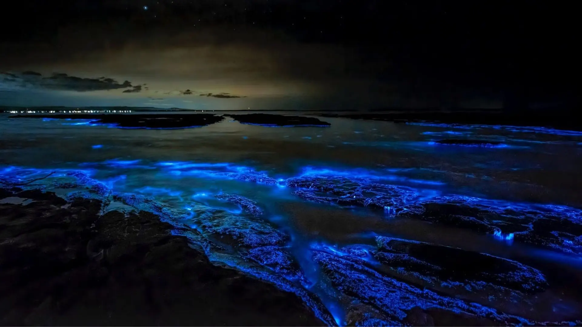 plankton beach tailândia