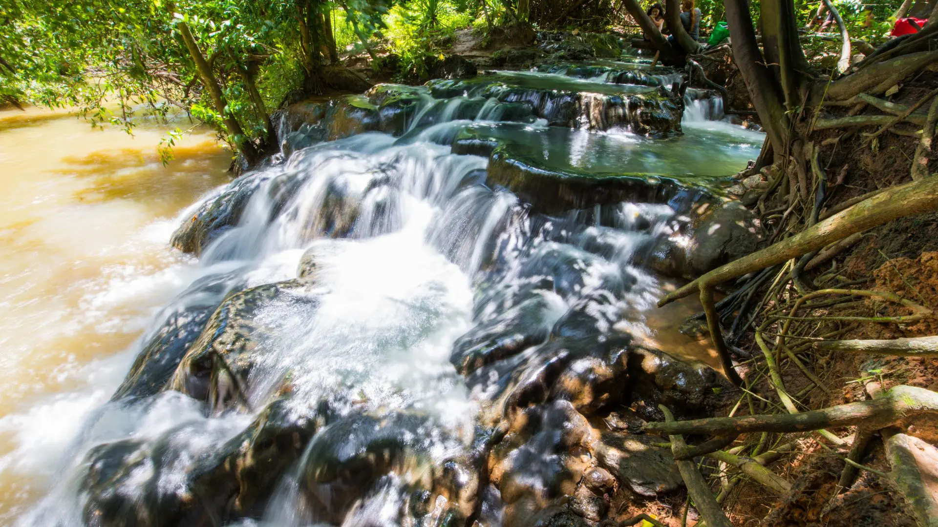 Água a cair em cascata por degraus de rocha em plena selva, com poços naturais e raízes de árvores na margem