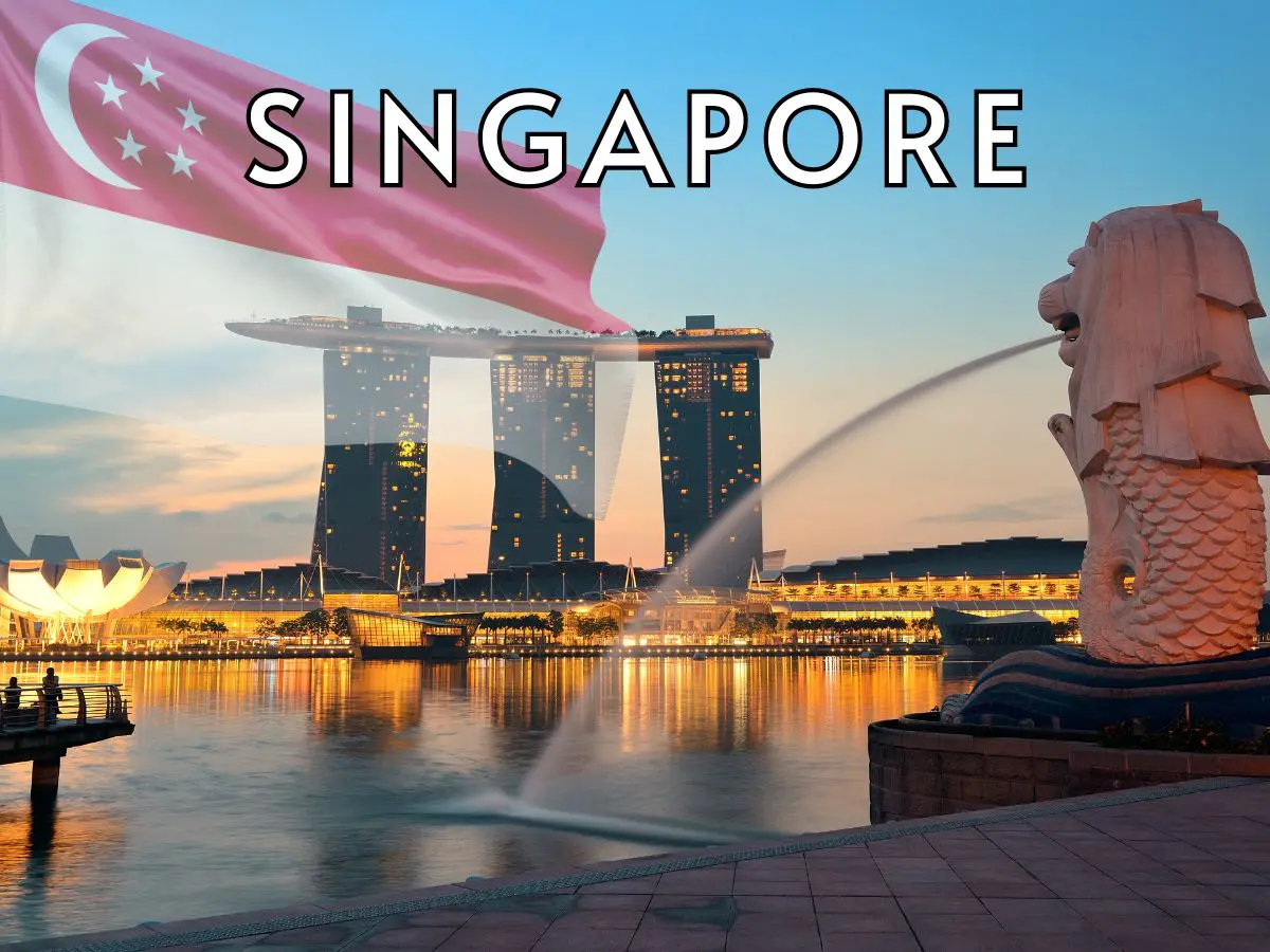 xr:d:DAFllVddisg:181,j:3955690386308794409,t:23092510 singapore