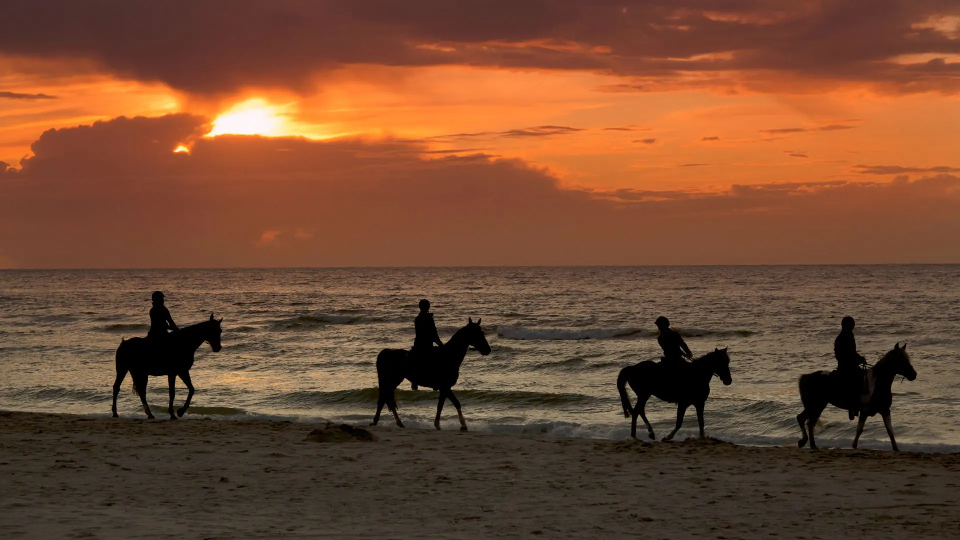 Quatro cavaleiros em contraluz avançam a passo pela beira-mar enquanto o sol se põe entre nuvens alaranjadas