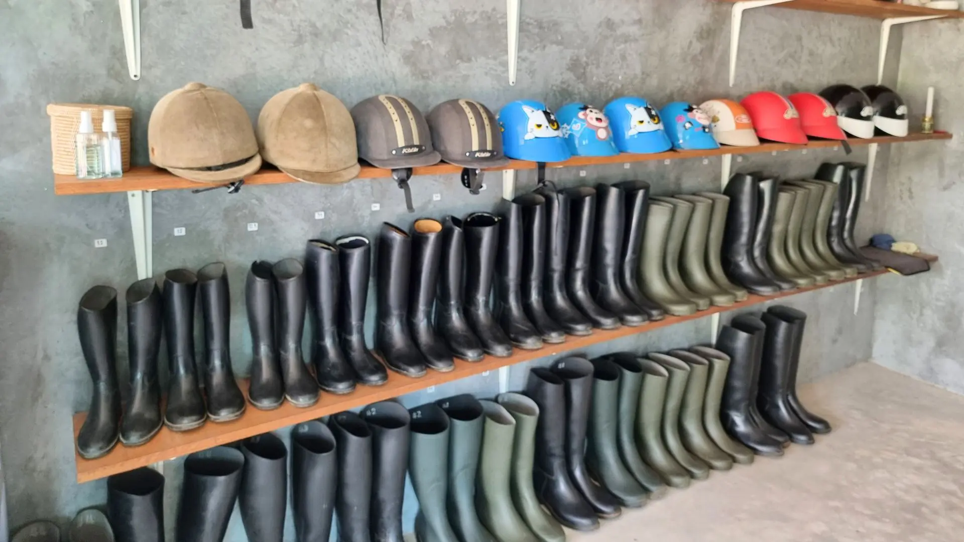 Prateleiras com botas de montar alinhadas e capacetes de equitação, alguns infantis e coloridos