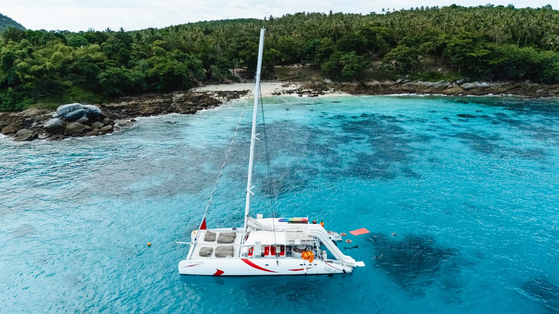 White catamaran anchored in turquoise water off a sandy cove fringed with palm trees
