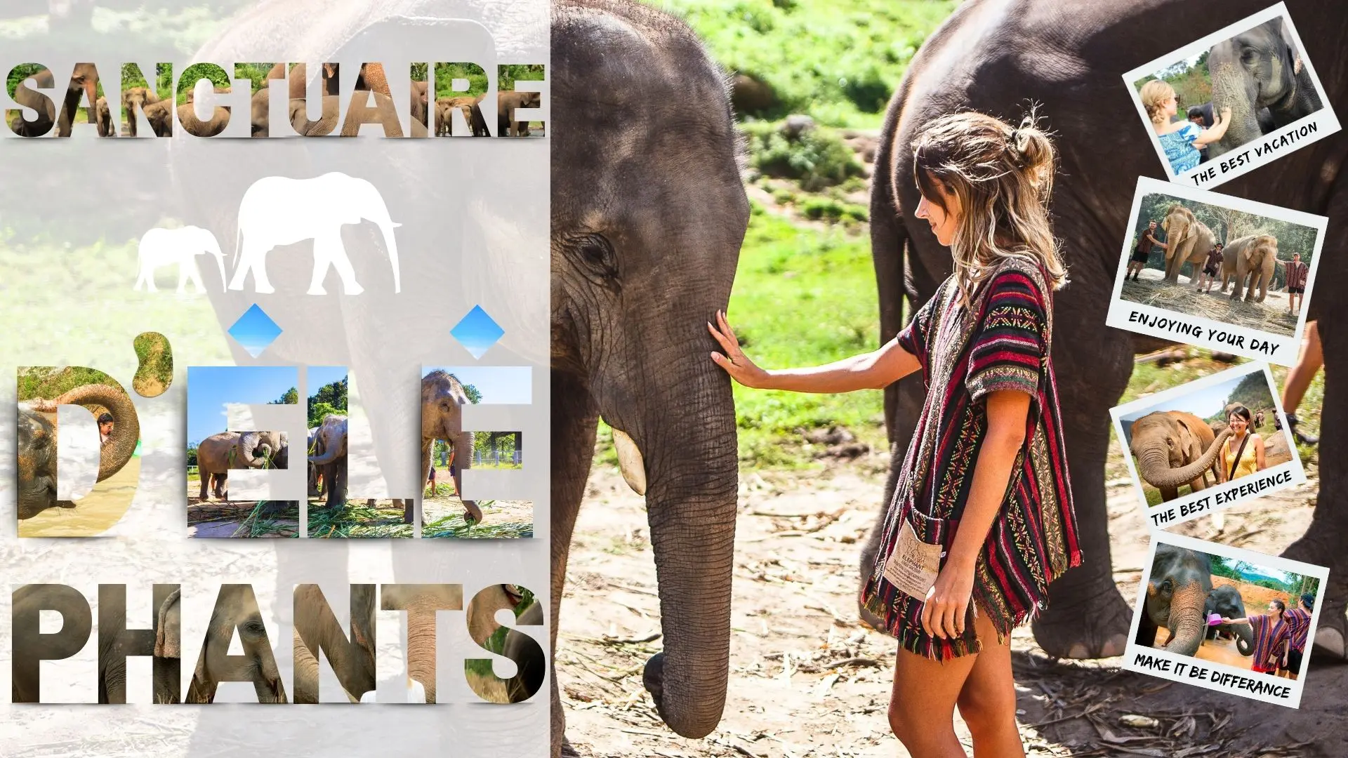 Santuario de Elefantes Phuket en familia - experiencia única Une voyageuse caresse la tête d’un éléphant dans un sanctuaire, avec photos de visiteurs les nourrissant