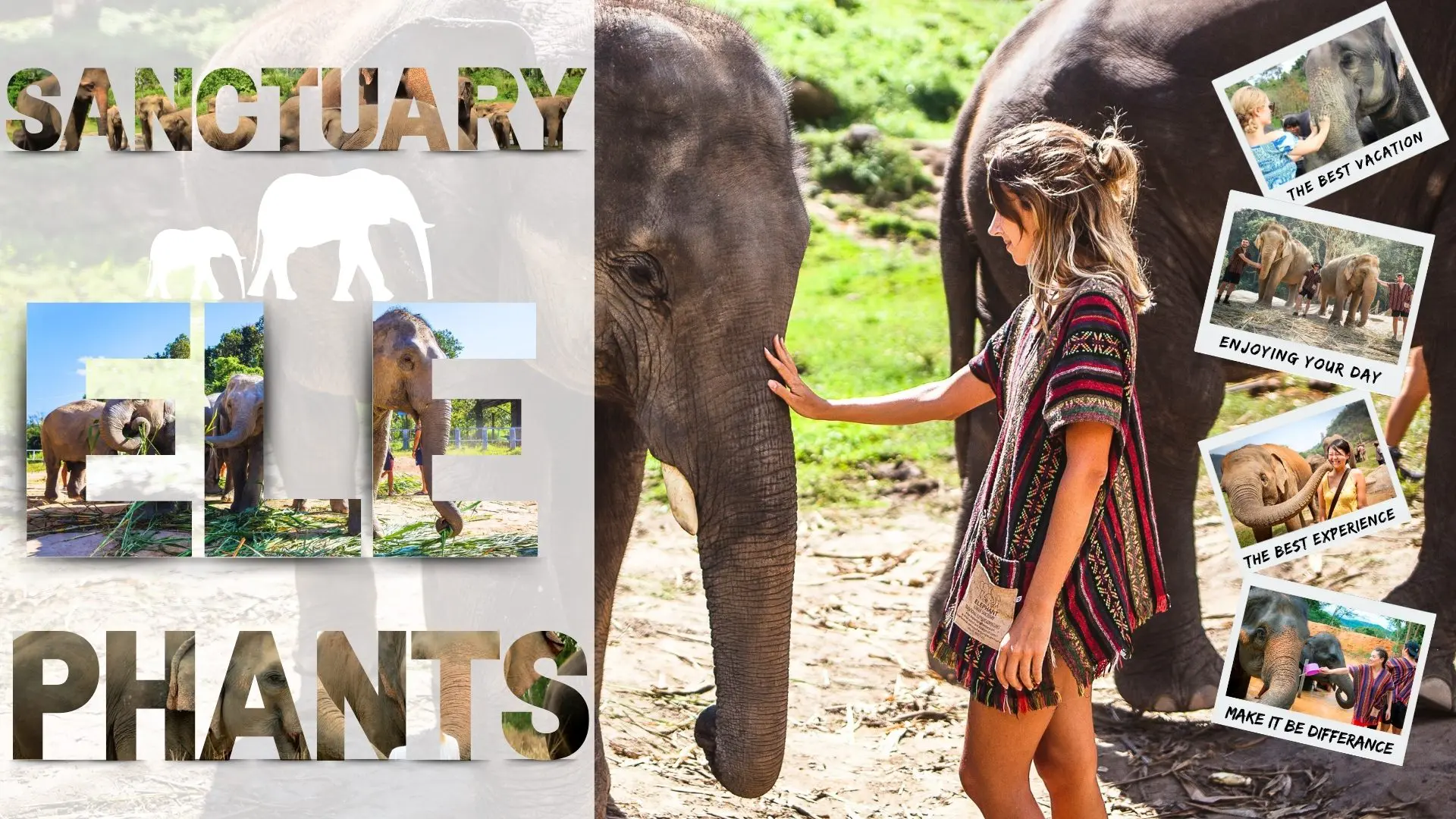 A woman traveler strokes an elephant's head at a sanctuary, with photos of visitors feeding the elephants