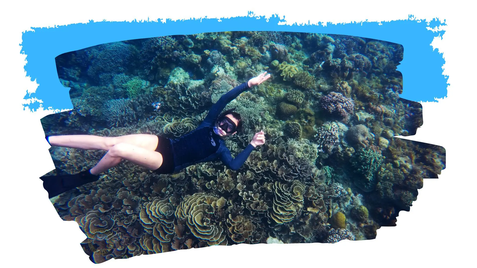 Woman in a snorkel mask and black wetsuit over lettuce-shaped corals, in a blue brushstroke frame
