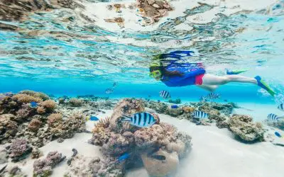 Pessoa a fazer snorkel sobre um recife de coral, rodeada de peixes