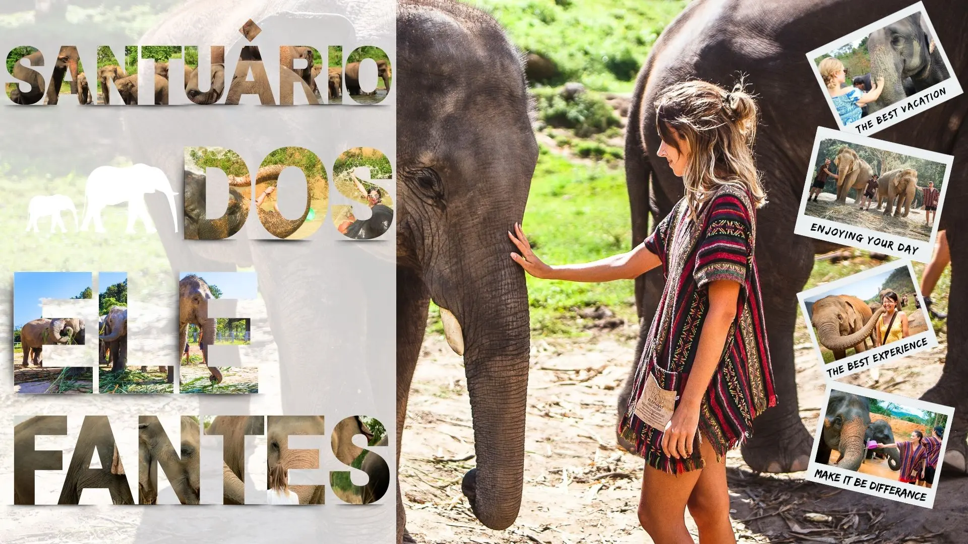 santuário de elefantes-pandaphukettour Santuário de elefantes em Phuket