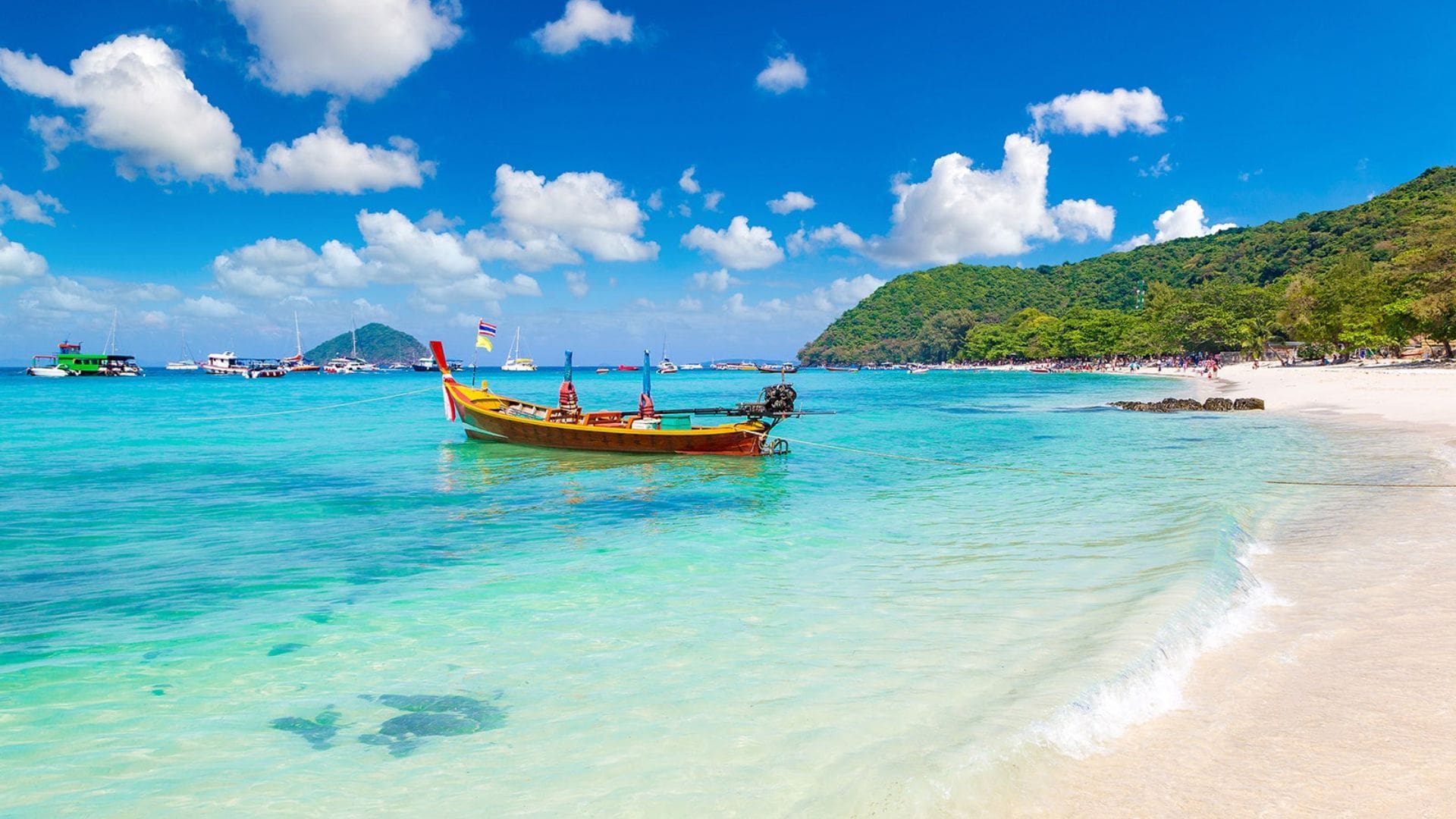coral island