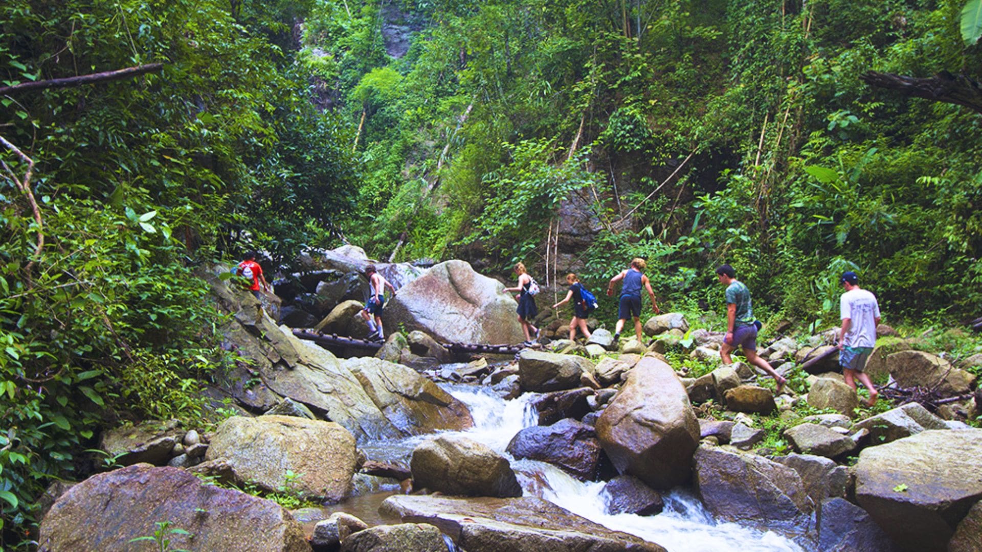 giungla