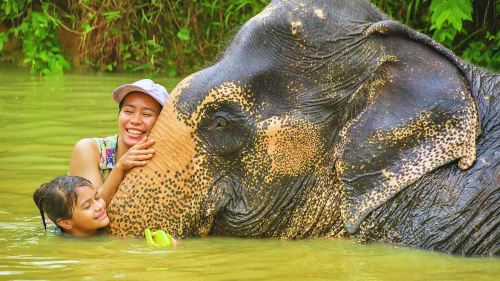 elefantes Chiang Mai elefantes