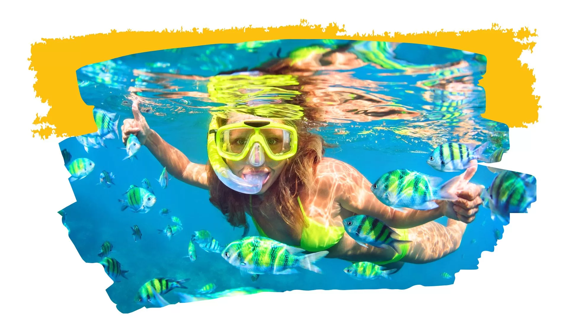 Phi Phi Islas desde Phuket (2) elephant