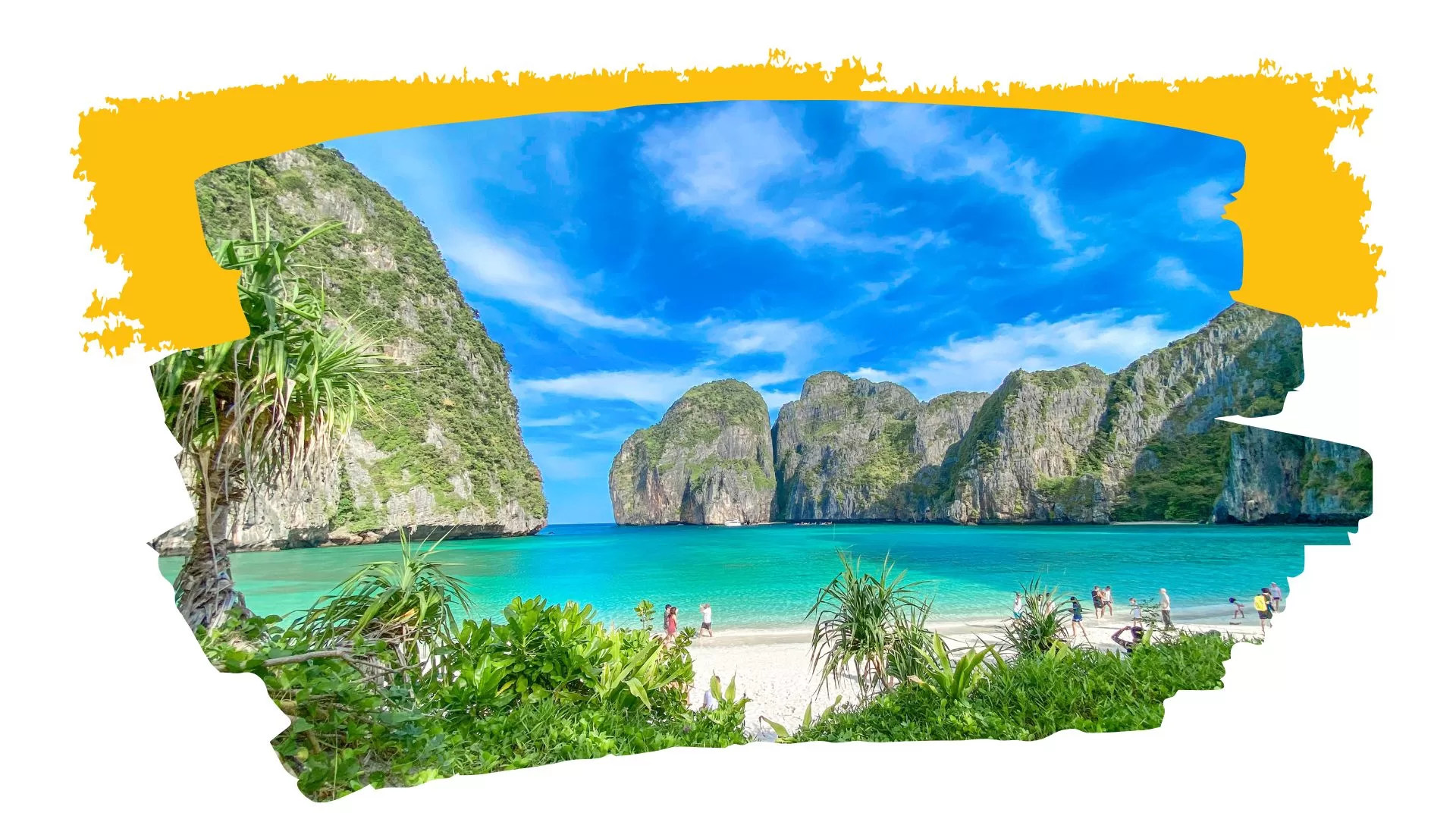 Playa en Phi Phi desde Phuket (2) elephant