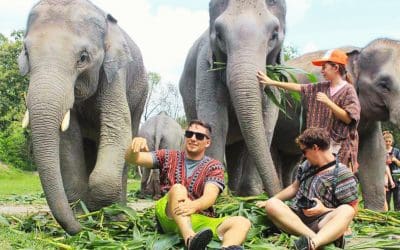 VER ELEFANTES EN PHUKET