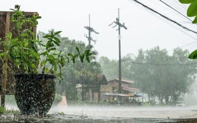 ¿Qué hacer en Phuket si llueve?