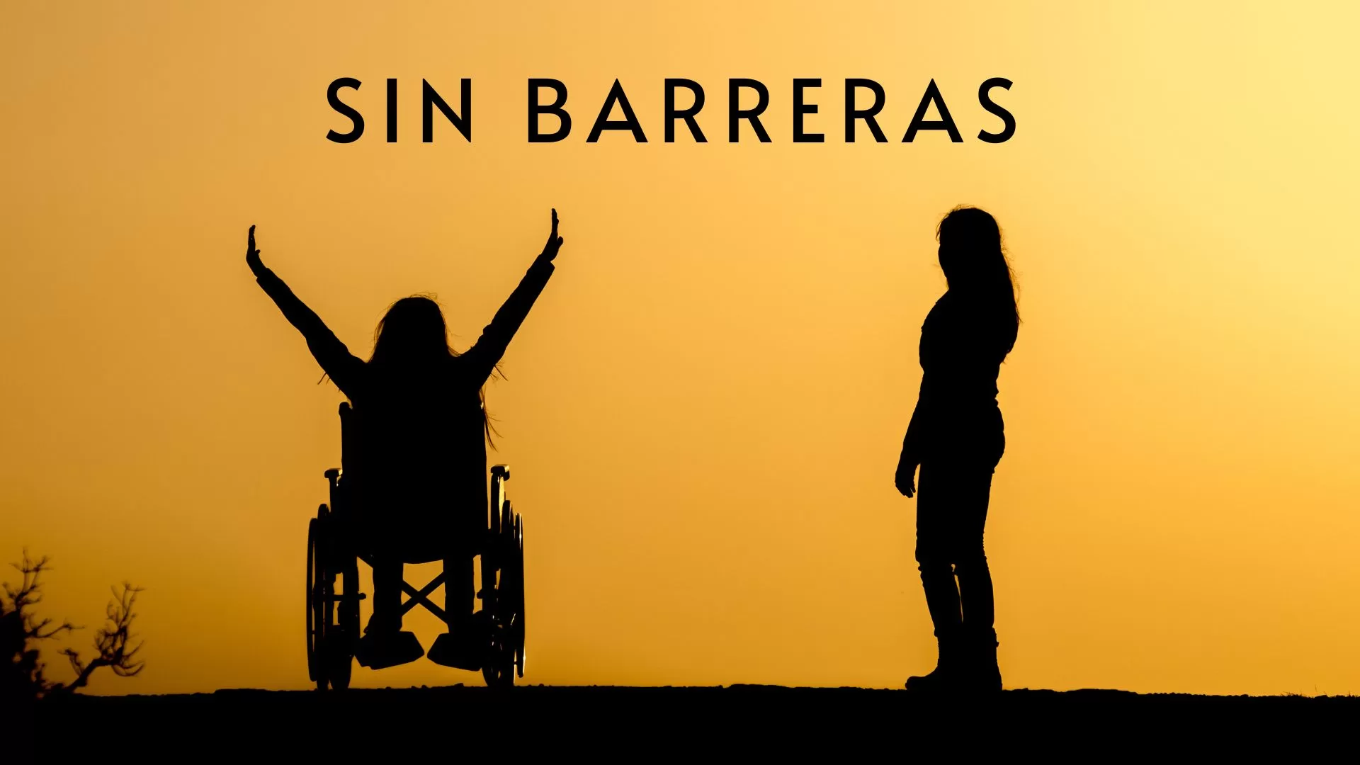 silla de ruedas